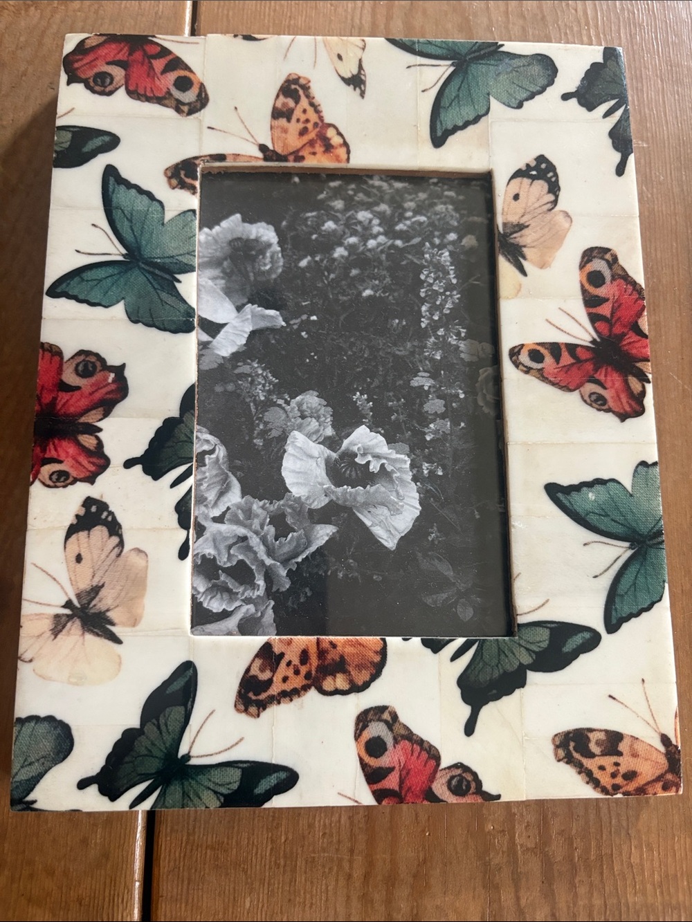 Cost Plus World Market Butterfly Photo Frame in Green, Red, Orange, Cream